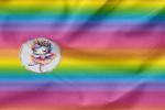 Vorbestellung * Cutie Ballerina Unicorn * Panel - Eigenproduktion - Rainbow